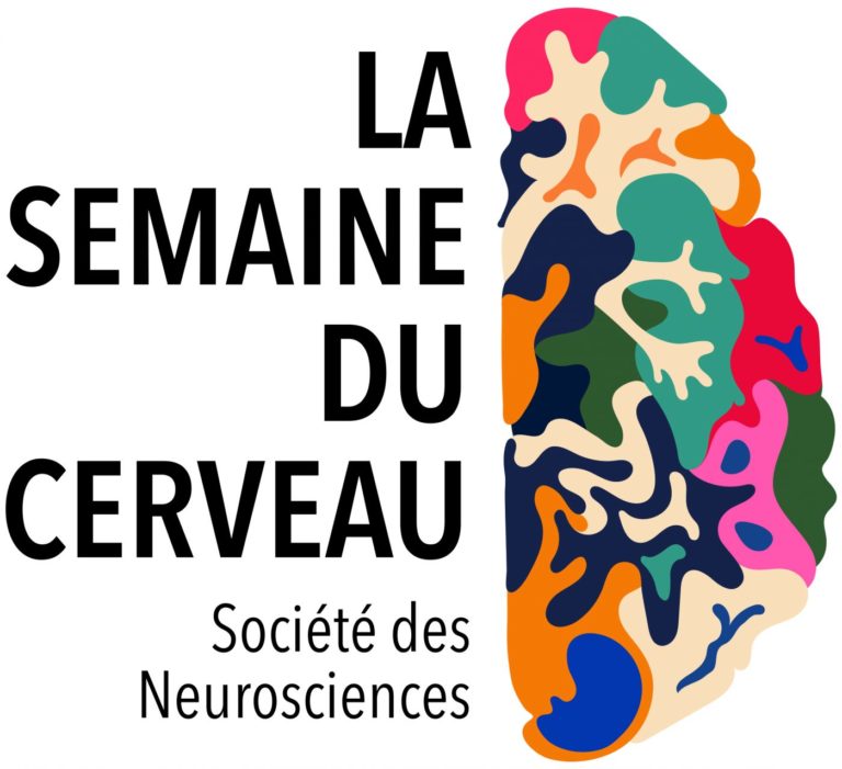 Afratapem Art Et Neurosciences Semaine Du Cerveau Afratapem